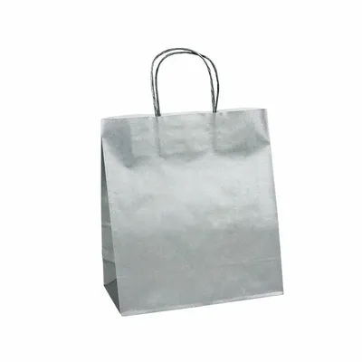 Gifts - Silver kraft paper bags, 34 x 14 x H 39.5cm, 100g (x50) - LAVAL 1878