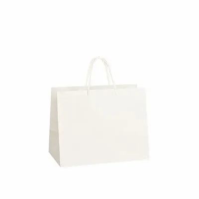 Gifts - Premium white kraft paper bags, 24 x 14 x H 19cm, 170g (x10) - LAVAL 1878