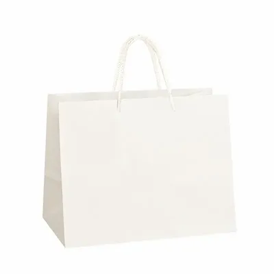 Cadeaux - Sacs papier kraft haut de gamme blanc 39 x 18 x H 29cm, 170g (x10) - LAVAL 1878