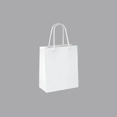 Gifts - Matte white paper bags 16 x 8 x H 19cm, 190g (x12) - LAVAL 1878