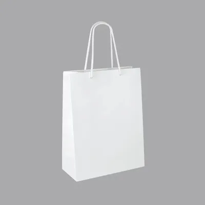Gifts - Matte white paper bags 22 x 10 x H 29cm, 190g (x12) - LAVAL 1878