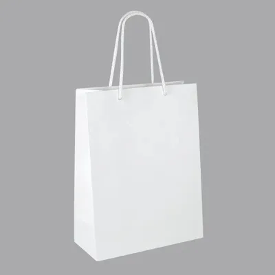 Gifts - Matte white paper bags 27 x 12 x H 37cm, 190g (x12) - LAVAL 1878