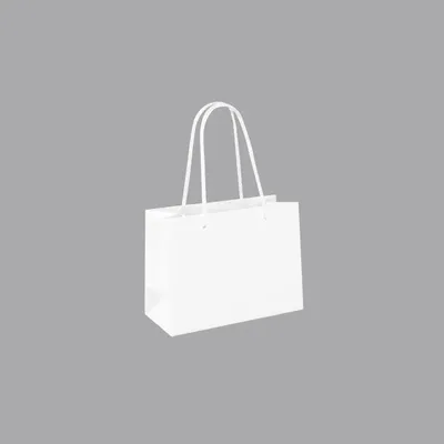 Gifts - Matte white paper bags, 16 x 7 x H 12cm, 190g (x12) - LAVAL 1878
