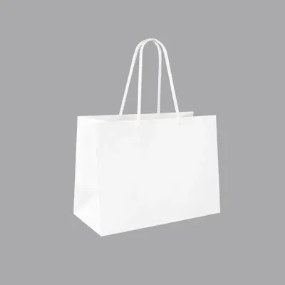 Cadeaux - Sacs papier mat blanc 24 x 12 x H 18cm, 190g (x12) - LAVAL 1878