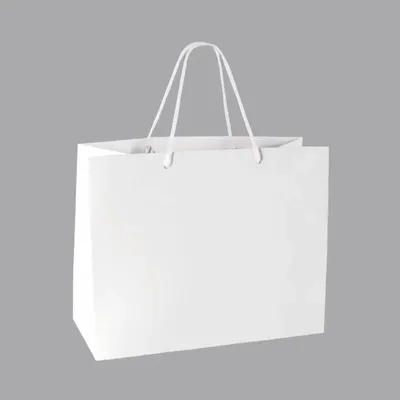 Cadeaux - Sacs papier mat blanc 32,7 x 13,6 x H 26,4cm, 190g (x12) - LAVAL 1878