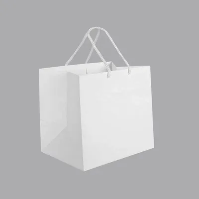 Cadeaux - Sacs papier mat blanc 24 x 18 x H 22cm, 190g (x10) - LAVAL 1878
