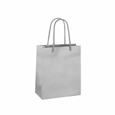 Gifts - Silver matte paper bags, 16 x 8 x H 19cm, 190g (x12) - LAVAL 1878