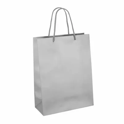 Cadeaux - Sacs papier mat couleur argent 22 x 10 x H 29cm, 190g (x12) - LAVAL 1878