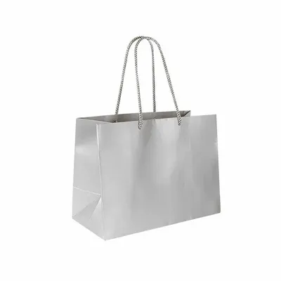 Cadeaux - Sacs papier mat couleur argent 24 x 12 x H 18cm, 190g (x12) - LAVAL 1878