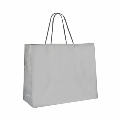 Cadeaux - Sacs papier mat couleur argent 32,7 x 13,6 x H 26,4cm, 190g (x12) - LAVAL 1878