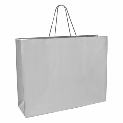Gifts - Silver matte paper bags, 53 x 14 x H 44cm, 190g (x10) - LAVAL 1878