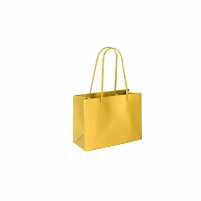 Cadeaux - Sacs papier mat doré 16 x 7 x H 12cm, 190g (x12) - LAVAL 1878