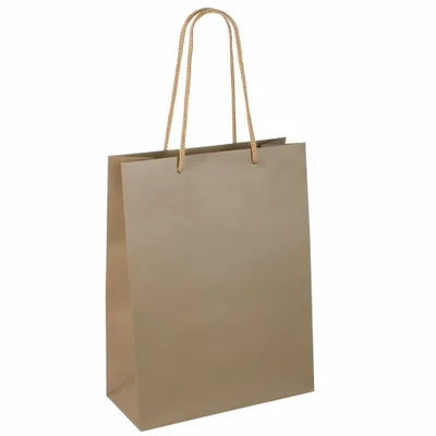 Cadeaux - Sacs papier mat taupe 22 x 10 x H 29cm, 190g (x12) - LAVAL 1878