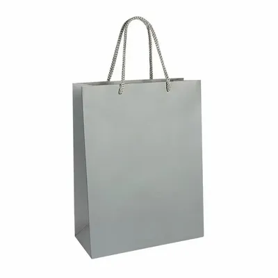 Gifts - Matte anthracite gray paper bags 22 x 10 x H 29cm, 190g (x12) - LAVAL 1878