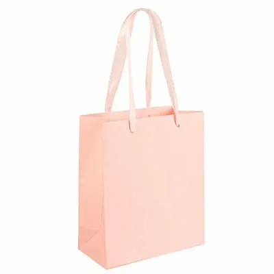 Cadeaux - Sacs papier mat rose pâle, poignées ruban 22 x 10 x H 29cm, 190g (x12) - LAVAL 1878