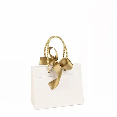 Gifts - White matte paper bags, gold ribbon, 24 x 10 x H 18cm, 140g (x10) - LAVAL 1878