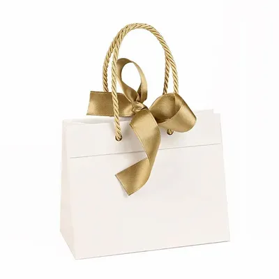Cadeaux - Sacs papier mat blanc, ruban doré 33 x 10 x H 24cm, 140g (x10) - LAVAL 1878