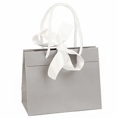 Gifts - Matte grey paper bags, white ribbon, 33 x 10 x H 24cm, 145g (x10) - LAVAL 1878