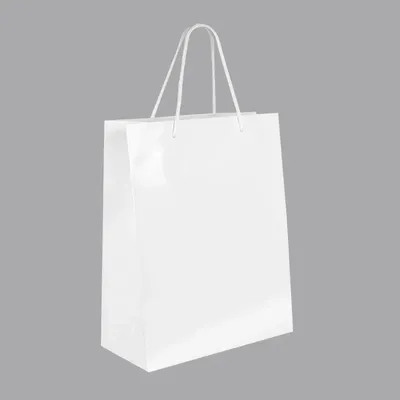 Cadeaux - Sacs papier brillant blanc 26,4 x 12,5 x H 32,7cm, 190g (x10) - LAVAL 1878