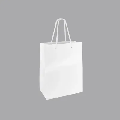 Cadeaux - Sacs papier brillant blanc 18 x 10 x H 22,7cm, 190g (x10) - LAVAL 1878