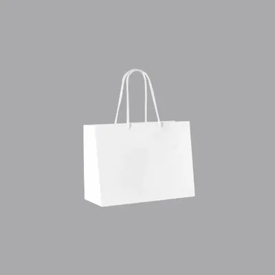 Gifts - Glossy white paper bags 24 x 12 x H 18cm, 190g (x10) - LAVAL 1878