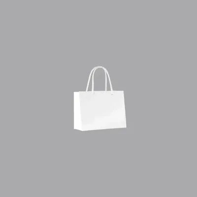 Gifts - White glossy paper bags 16 x 7 x H 12cm, 190g (x25) - LAVAL 1878