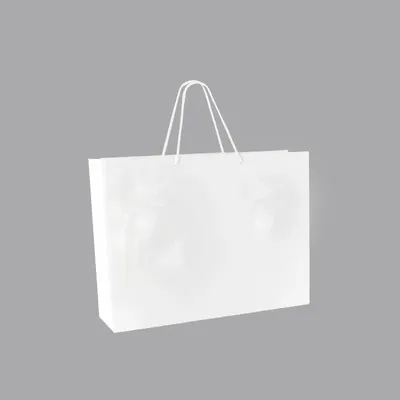 Gifts - White glossy paper bags 43 x 12 x H 32cm, 190g (x10) - LAVAL 1878