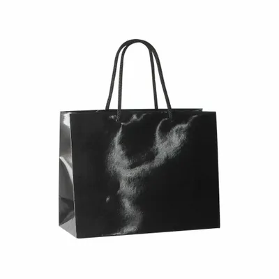 Gifts - Glossy black paper bags 24 x 12 x H 18cm, 190g (x10) - LAVAL 1878