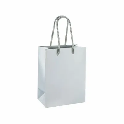 Cadeaux - Sacs papier brillant couleur argent 11,4 x 6,4 x H 14,6cm, 190g (x25) - LAVAL 1878