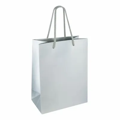 Gifts - Silver-colored glossy paper bags, 18 x 10 x H 22.7cm, 190g (x10) - LAVAL 1878
