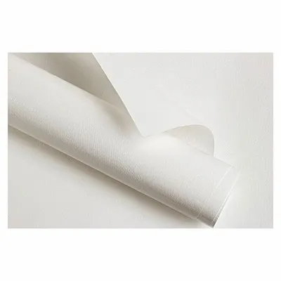 Gifts - White embossed lizard-effect gift wrap, 0.70 x 25m - LAVAL 1878
