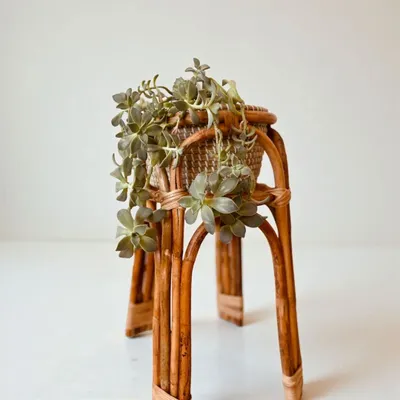 Floral decoration - Sable Natural Rattan Planter - LO-FI HOUSE