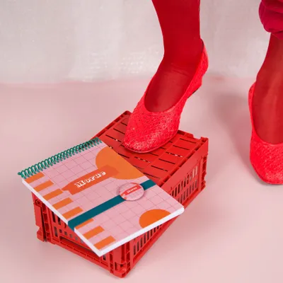 Papeterie - Carnet A5 « Morue » au design pop, fabriqué en France - MAUVAISES GRAINES