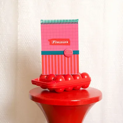 Papeterie - Carnet A5 « Flemme » au design pop, fabriqué en France - MAUVAISES GRAINES