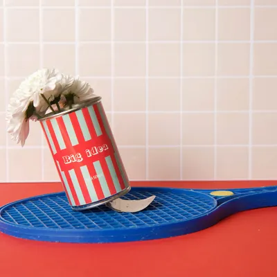 Objets de décoration - Kit à semer humoristique – Collection impertinente Mauvaises Graines - MAUVAISES GRAINES