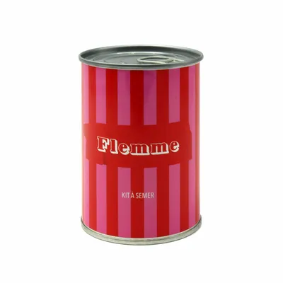 Objets de décoration - Kit à semer humoristique fabriqué en France – Cadeau original - MAUVAISES GRAINES