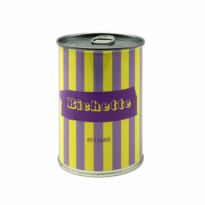 Objets de décoration - Kit à semer humoristique – Collection impertinente Mauvaises Graines - MAUVAISES GRAINES