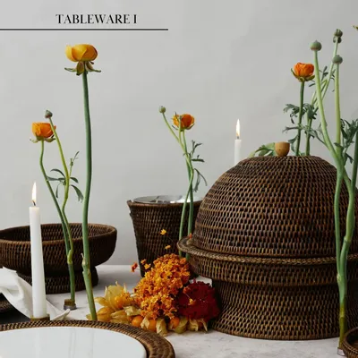 Assiettes au quotidien - VAISSELLE I - KING ZOO