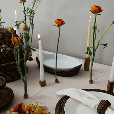 Assiettes au quotidien - VAISSELLE I - KING ZOO