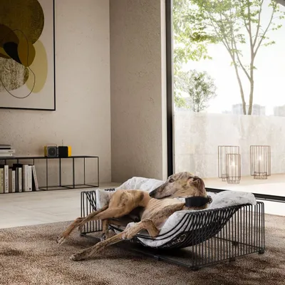 Lits - ZOE - PIPEDESIGN PURESHAPE