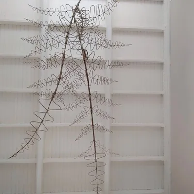 Suspensions - Fougère - AOZILH