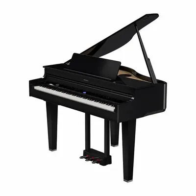 Pianos - Baby Grand Piano - GP-6 - ROLAND