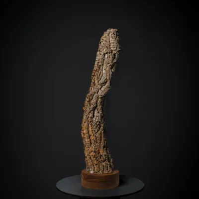 Unique pieces - Roots lamp - HERON DESIGN