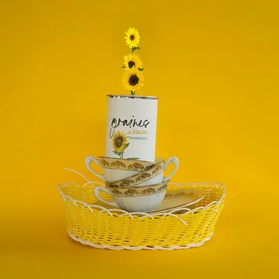 Gifts - Sowing kit\" Sun seeds\” Made in France - MAUVAISES GRAINES