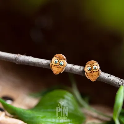 Bijoux - Bijoux fantaisie hibou - Boucles d'oreilles originales avec petits oiseaux, cadeau d'anniversaire amusant pour Noël, votre meilleure amie, votre grande sœur ou votre âme sœur - PINTONIK