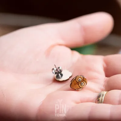 Jewelry - Whimsical Owl Earrings - PINTONIK