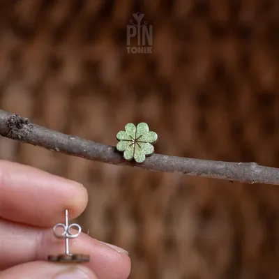Bijoux - Clous d'oreilles en forme de trèfle à quatre feuilles - PINTONIK