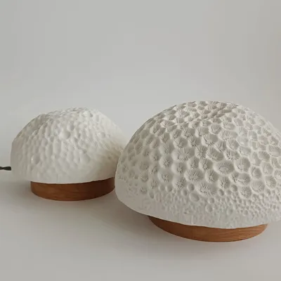 Ceramic - SEA URCHIN LIGHTS - CÉRA MISTIKA