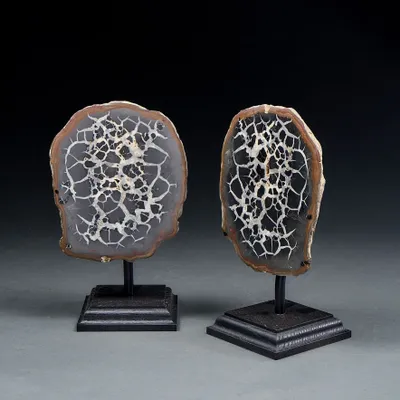 Decorative objects - Septarias on a base - Cabinet of curiosities - Minerals - METAMORPHOSES