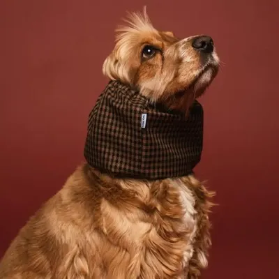 Pet accessories - Dog Snood - WATERPROOF - LOU AND CO